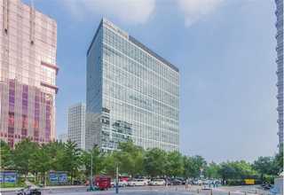 临西有效果的无糖饼干厂家