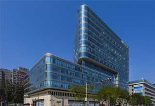 重庆波斯菊花种产商