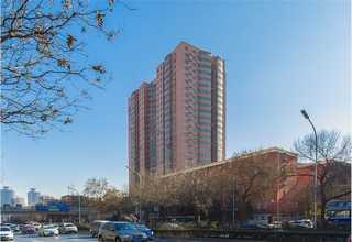 常见珍珠棉片材售价